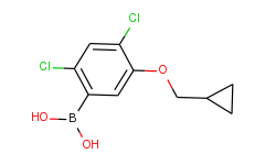 2,4-dichloro-5-(cyclopropylmethoxy)phenylboronic acid