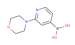 2-morpholinopyridine-4-boronic acid