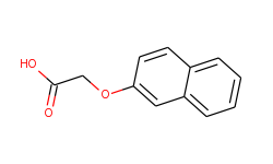 2-(2-naphthyloxy)acetic acid