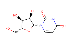 Uridine