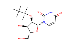 Uridine, 2'-O-[(1,1-dimethylethyl)dimethylsilyl]-