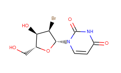 2'-bromo-2'-deoxyuridine