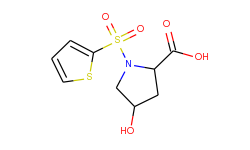 4-hydroxy-1-(2-thienylsulfonyl)-2-pyrrolidinecarboxylic acid